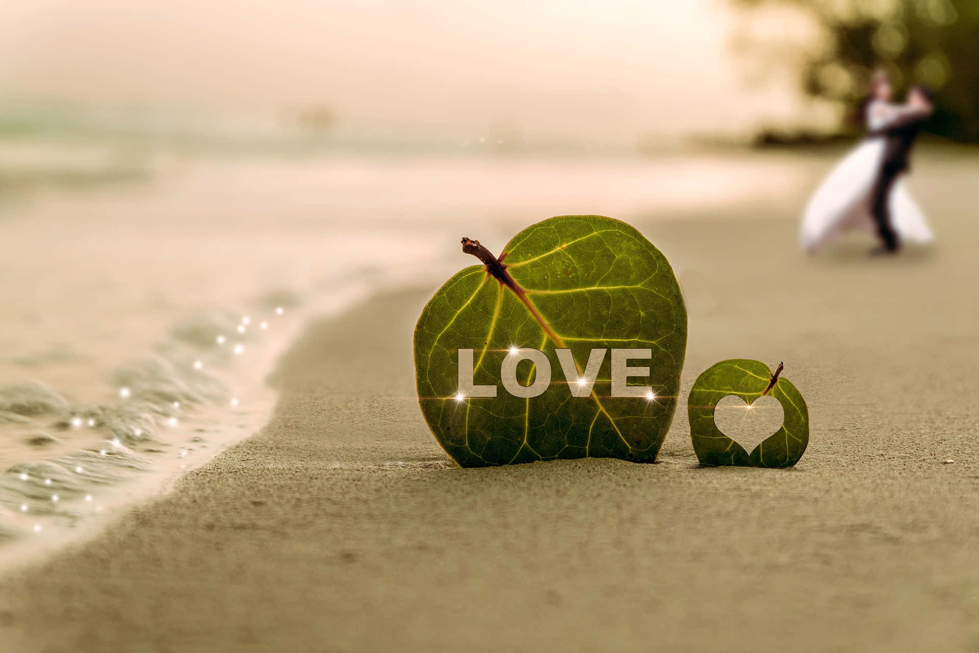 Download Love on the Beach at Sunset Wallpaper | Wallpapers.com