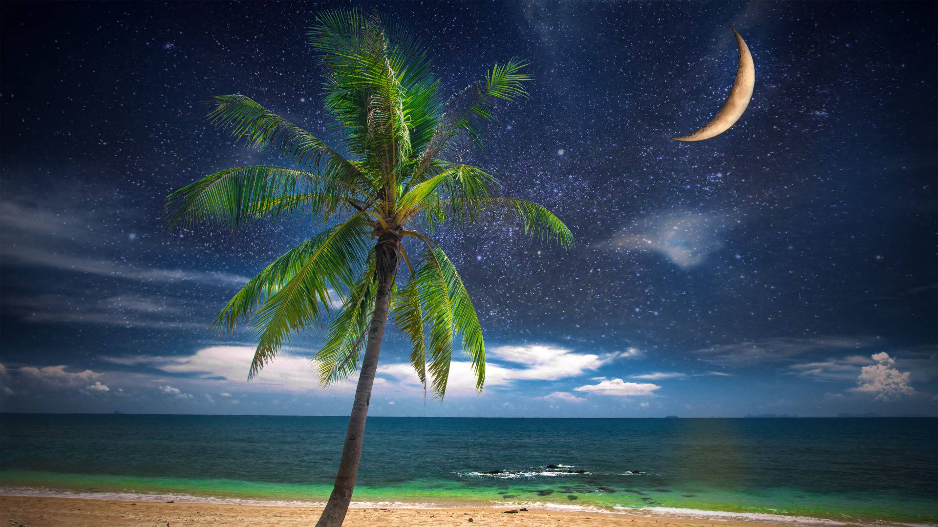 Beach Night Tropical Full Moon Wallpaper