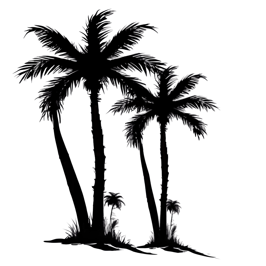 Beach Palm Silhouette Png 36 PNG