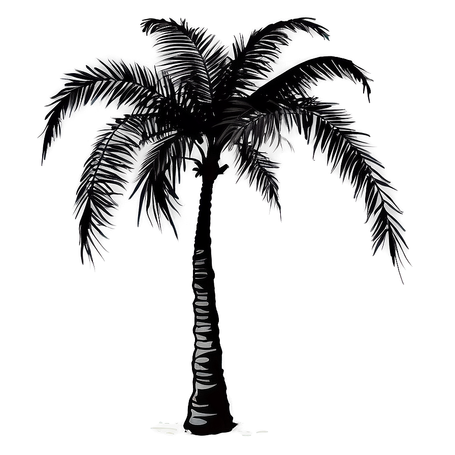 Beach Palm Silhouette Png Mgo74 PNG