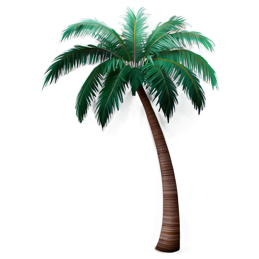 Beach Palm Tree Png Jta1 PNG