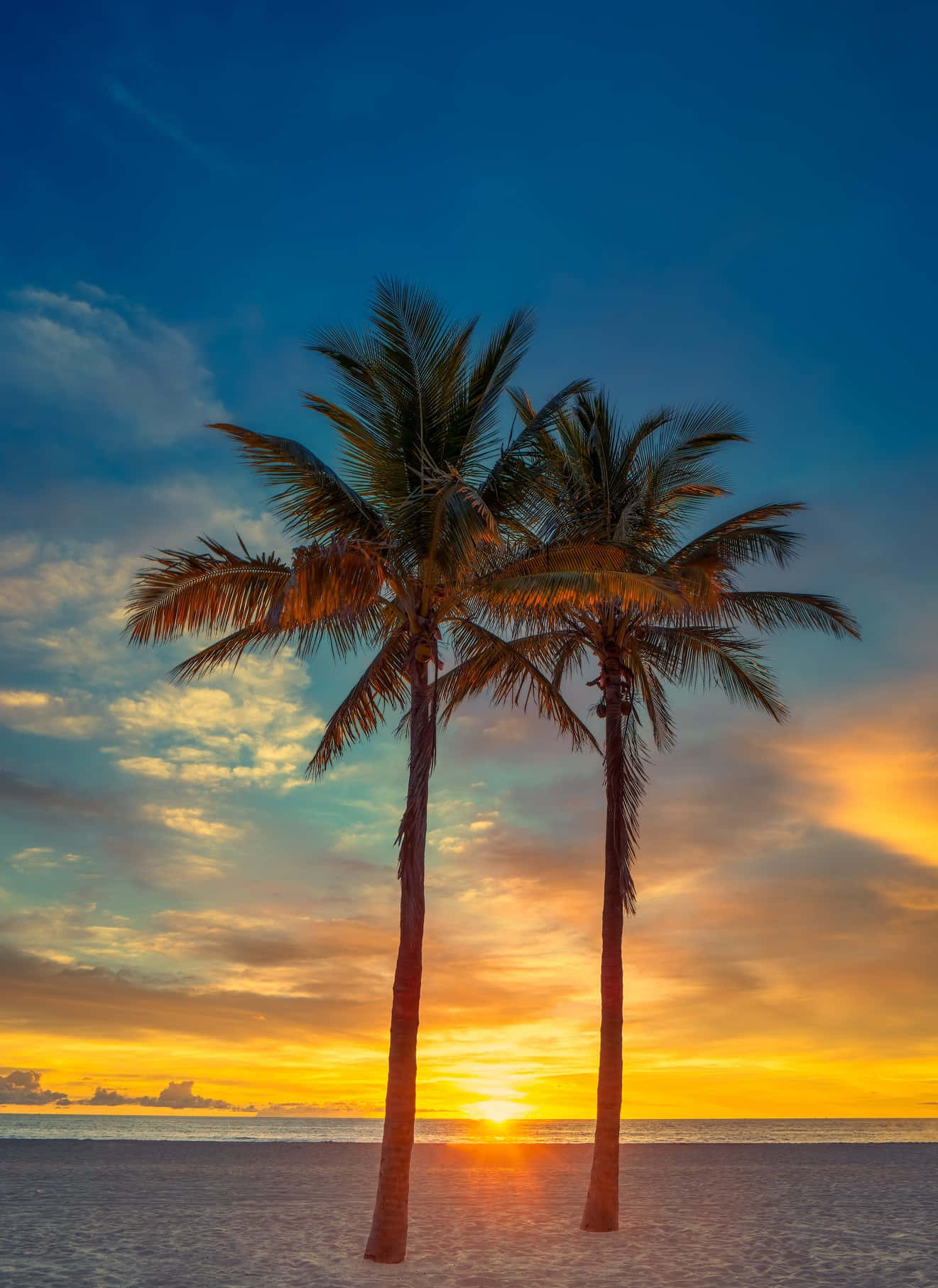 Tranquil beach scene with vibrant palm trees Wallpaper