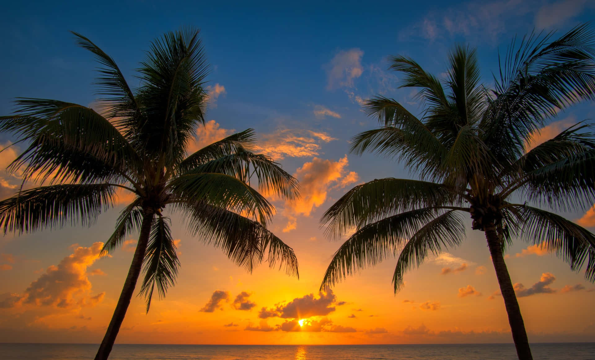 Caption: A Serene Tropical Paradise with Golden Sands and Towering Palm Trees Wallpaper