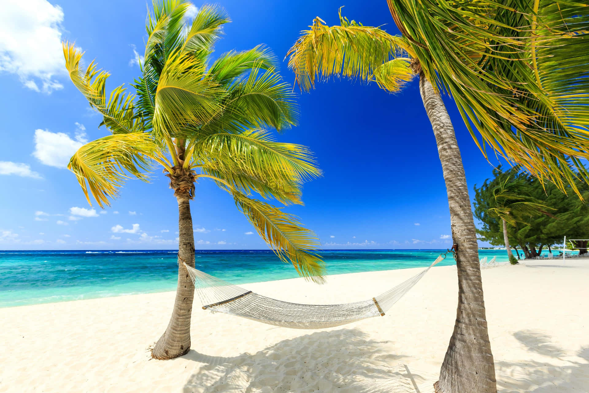 "Sundrenched Paradise: Tropical Beach Framed by Palm Trees" Wallpaper