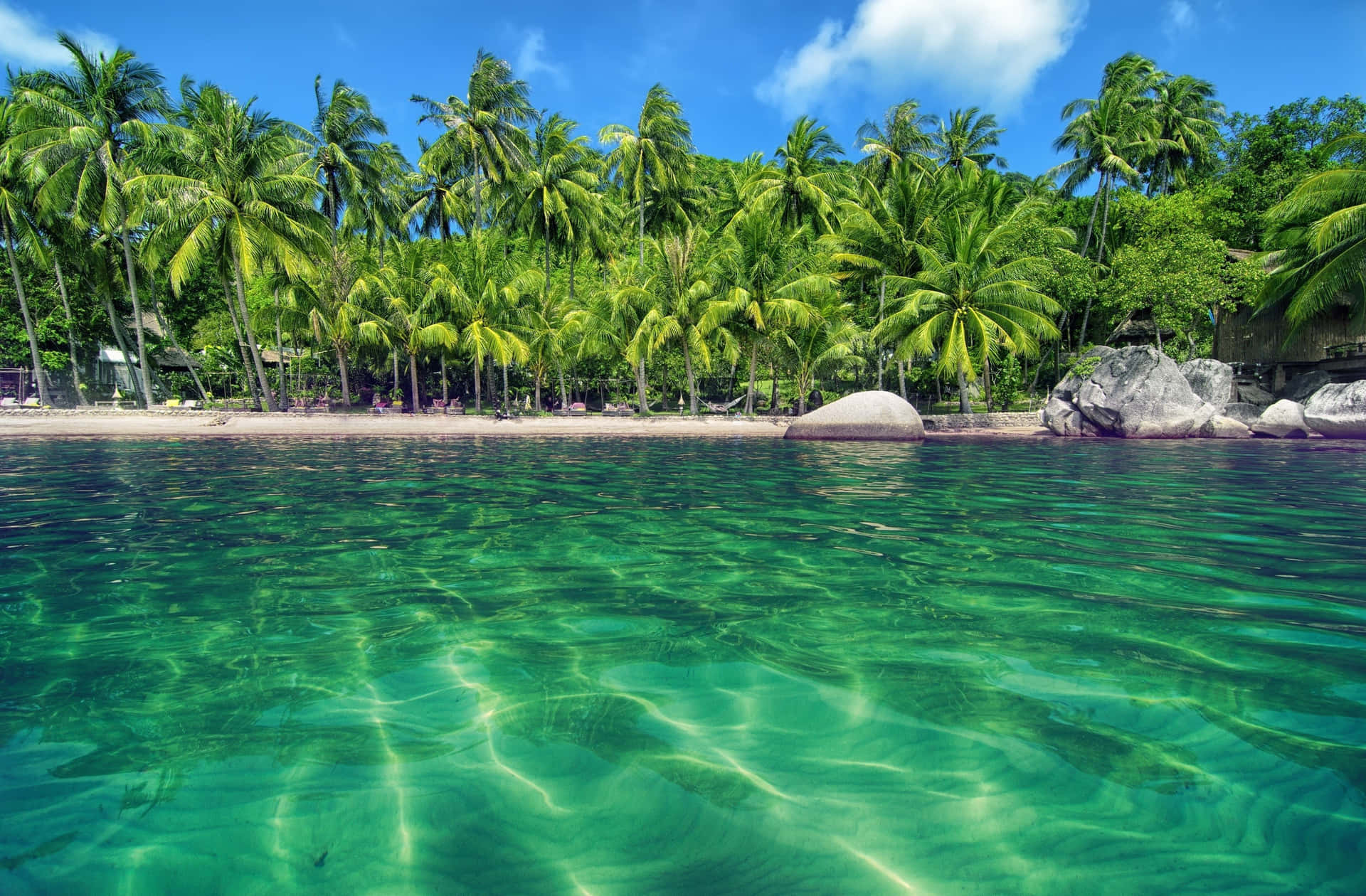 Relaxing Beach Palm Trees Wallpaper
