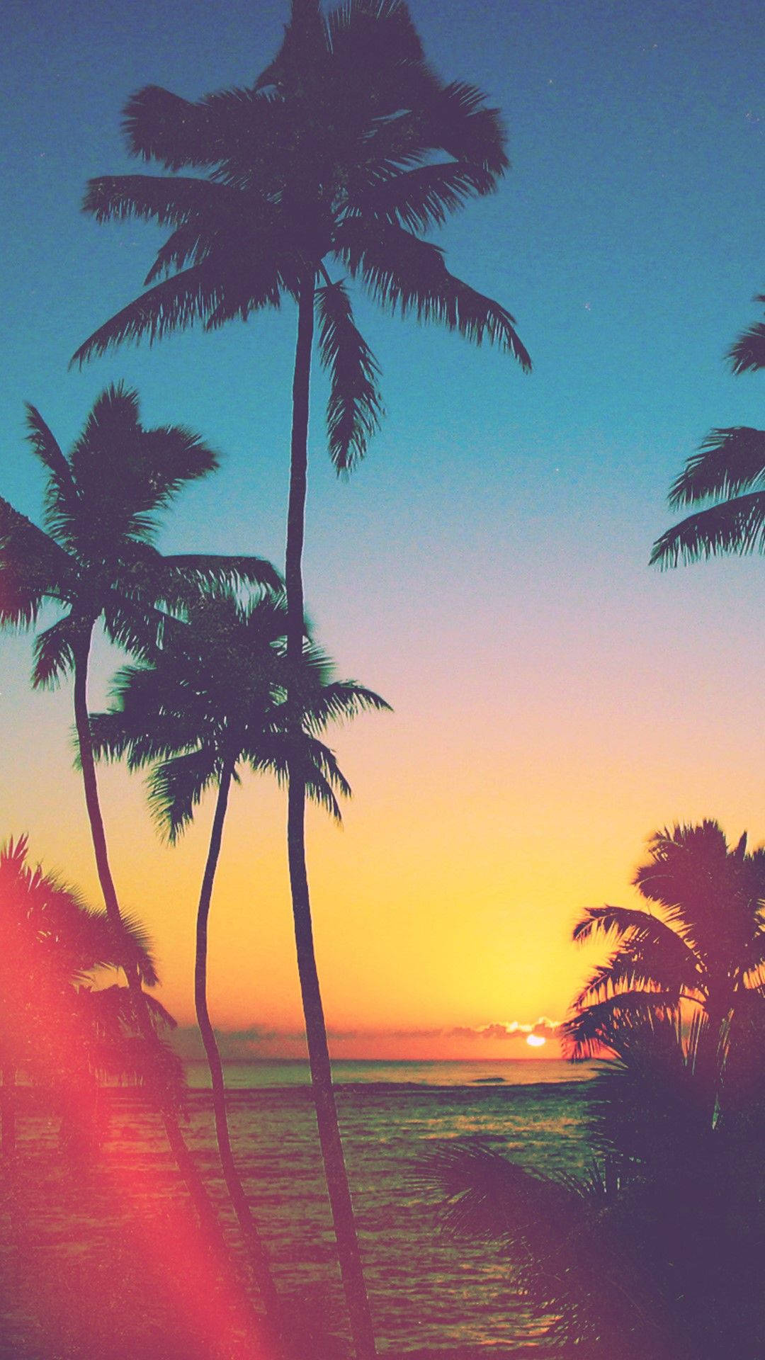 Download Beach Palm Trees Aesthetic Phone Wallpaper 