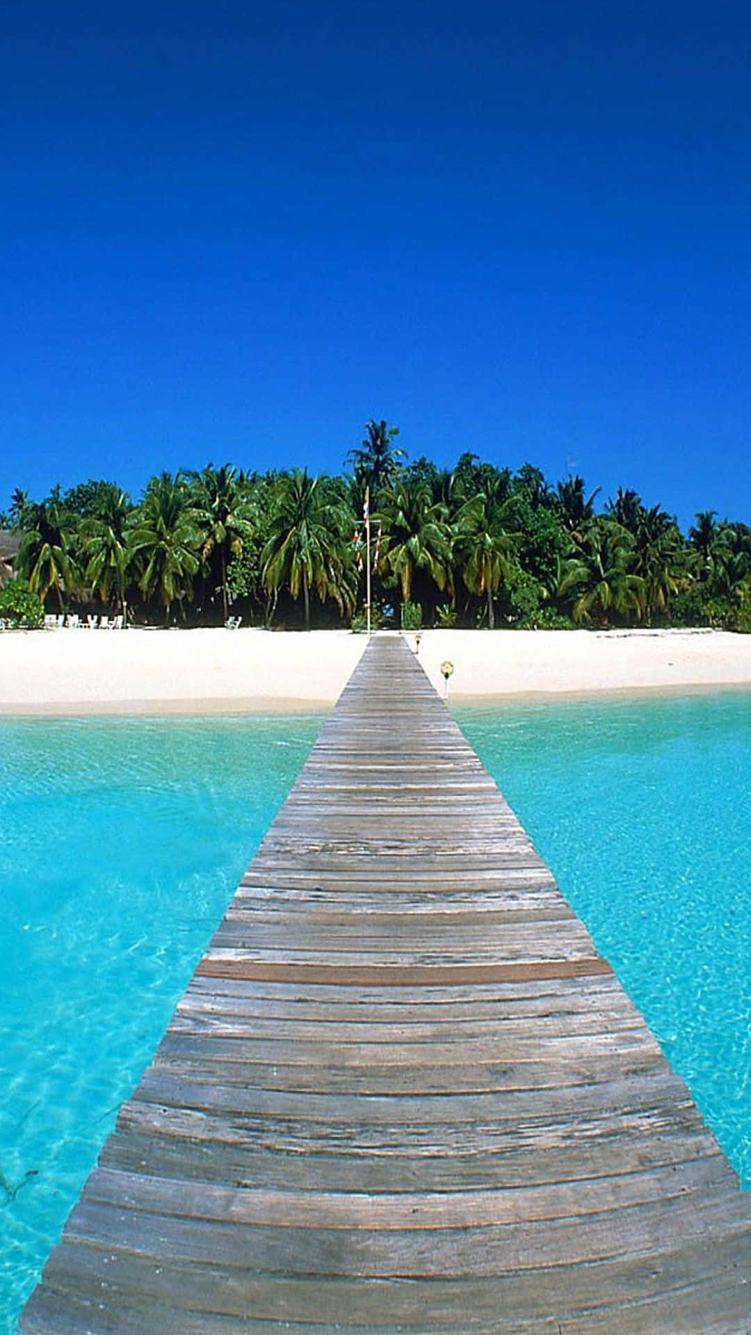 Imagendisfrutando De La Hermosa Playa Con Un Teléfono En La Mano. Fondo de pantalla