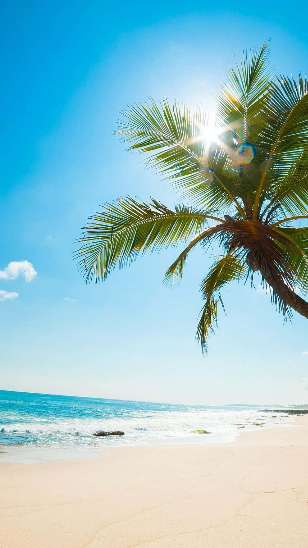Disfrutade Las Hermosas Vistas De La Playa Con El Compañero Perfecto - Beach Phone Fondo de pantalla