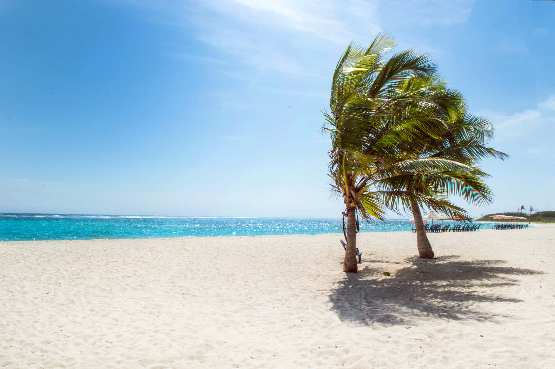 Disfrutade Una Mañana De Relajación Y Reflexión En La Hermosa Playa Tropical.