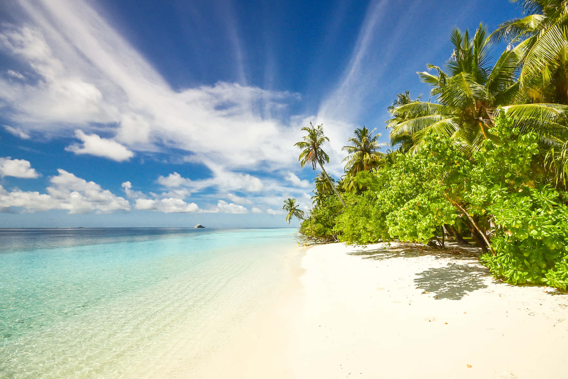 En hvid sandstrand med palmer og blåt vand