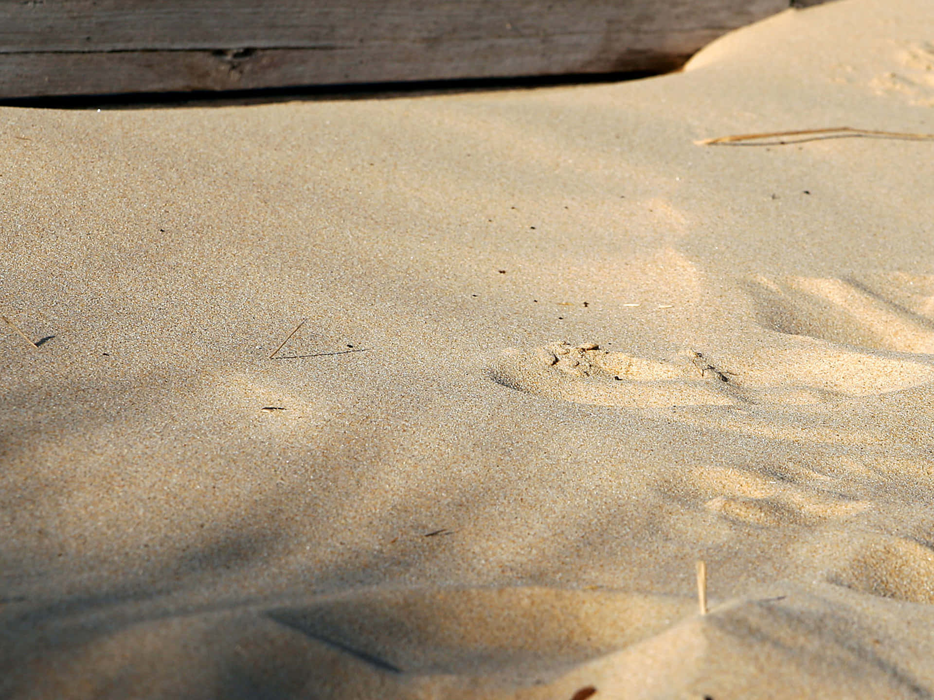 Tranquil Beach Sand with Waves and Footprints Wallpaper
