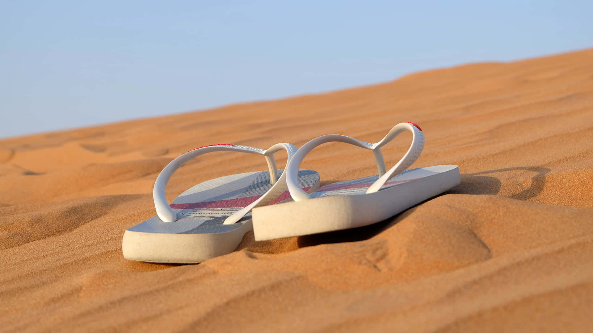 Sunlit beach sandals awaiting adventure Wallpaper