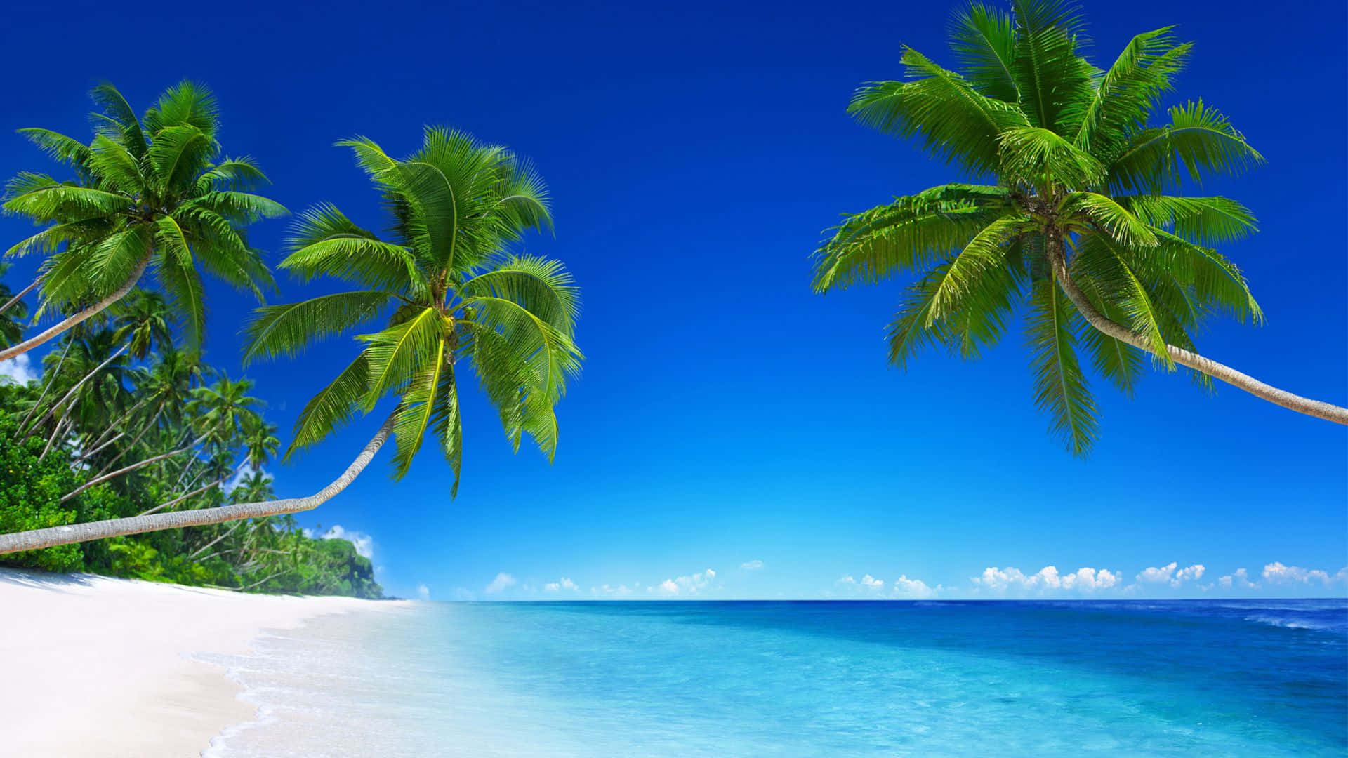 Beach Scene Clear Blue Skies White Sand Picture
