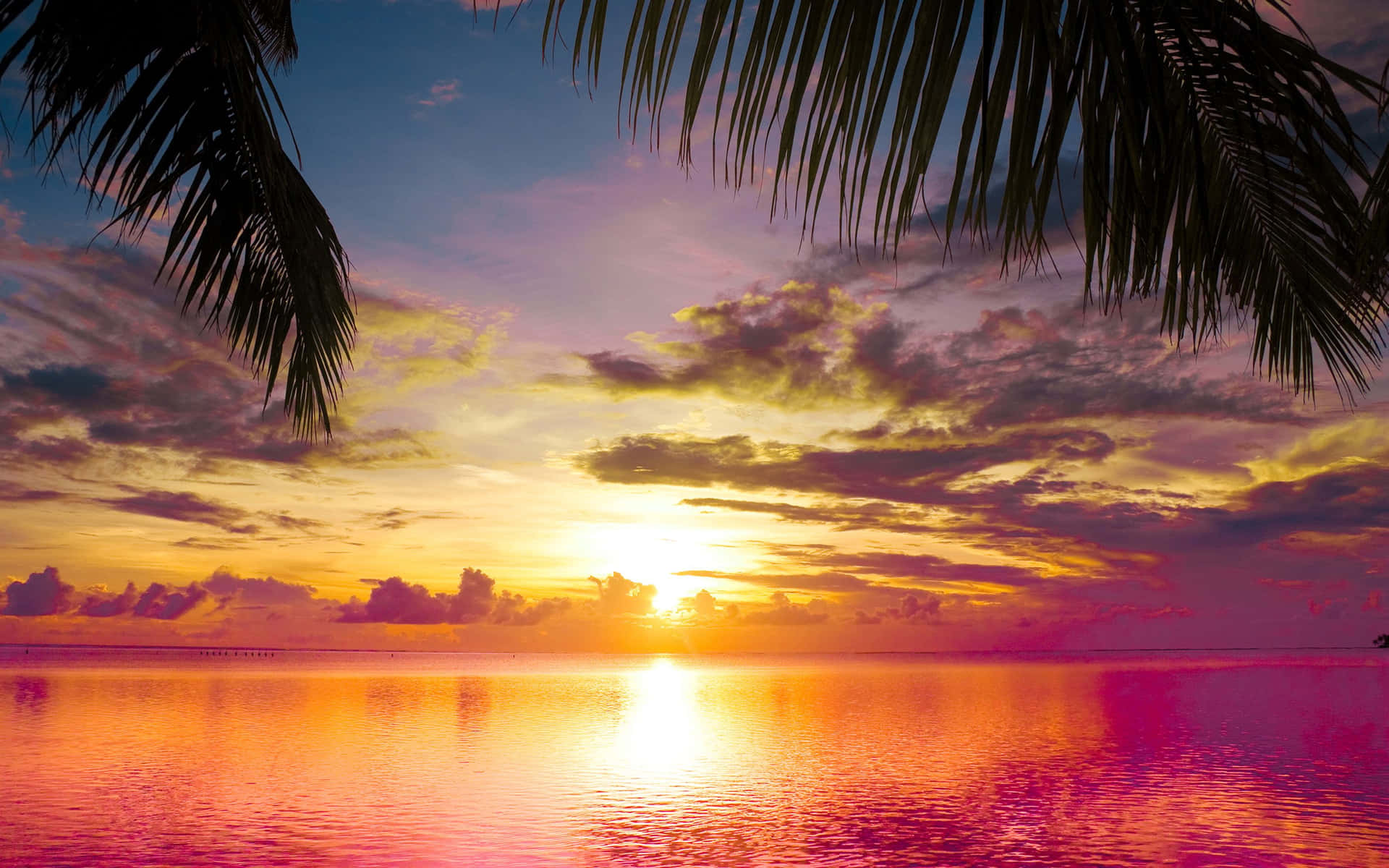 sunset over the ocean with palm trees