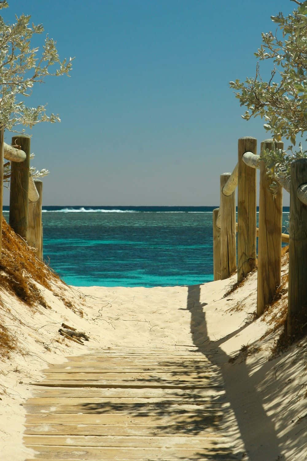 a wooden walkway leading to the ocean