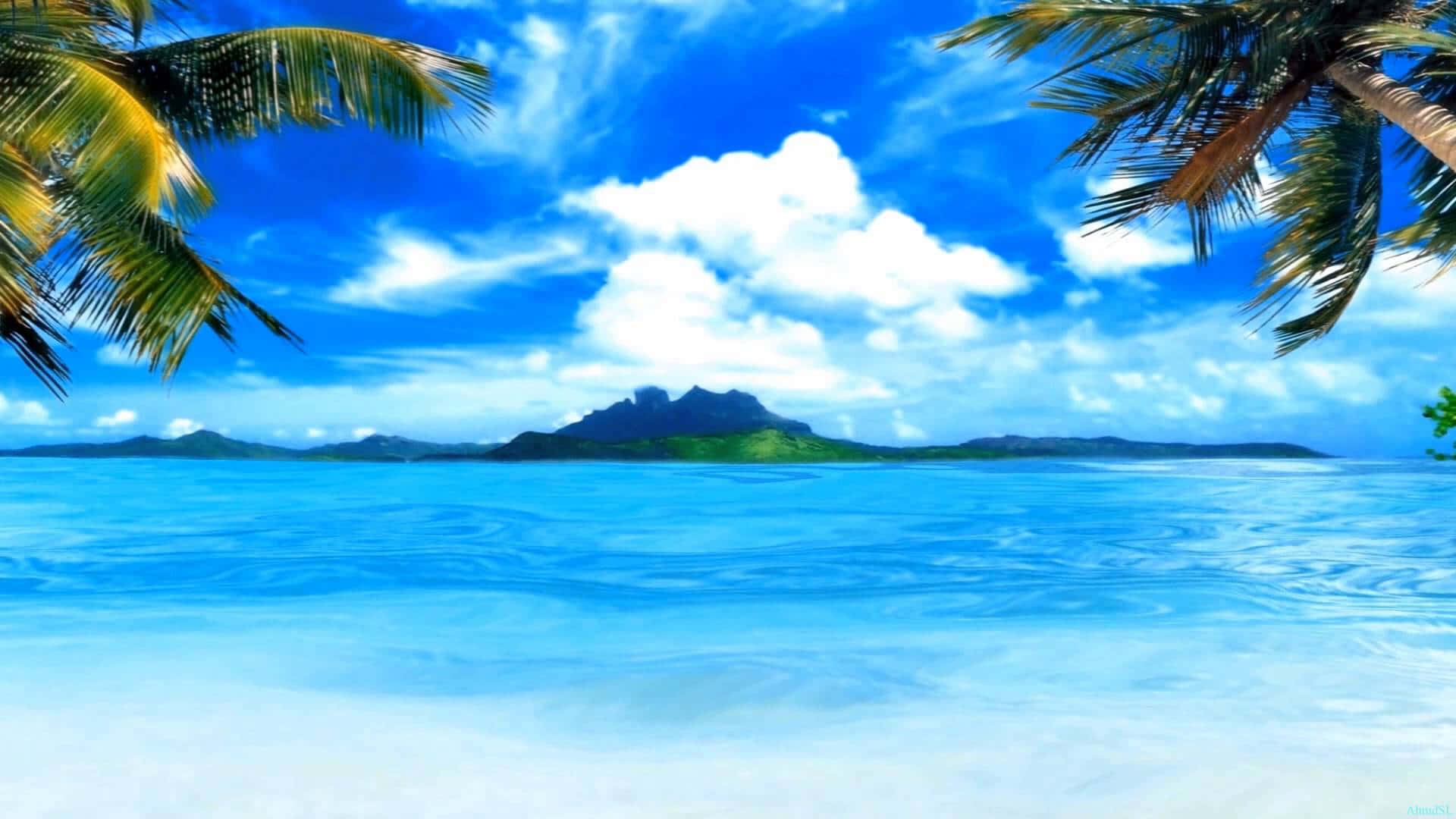 Unaspiaggia Tropicale Con Palme E Acqua Blu