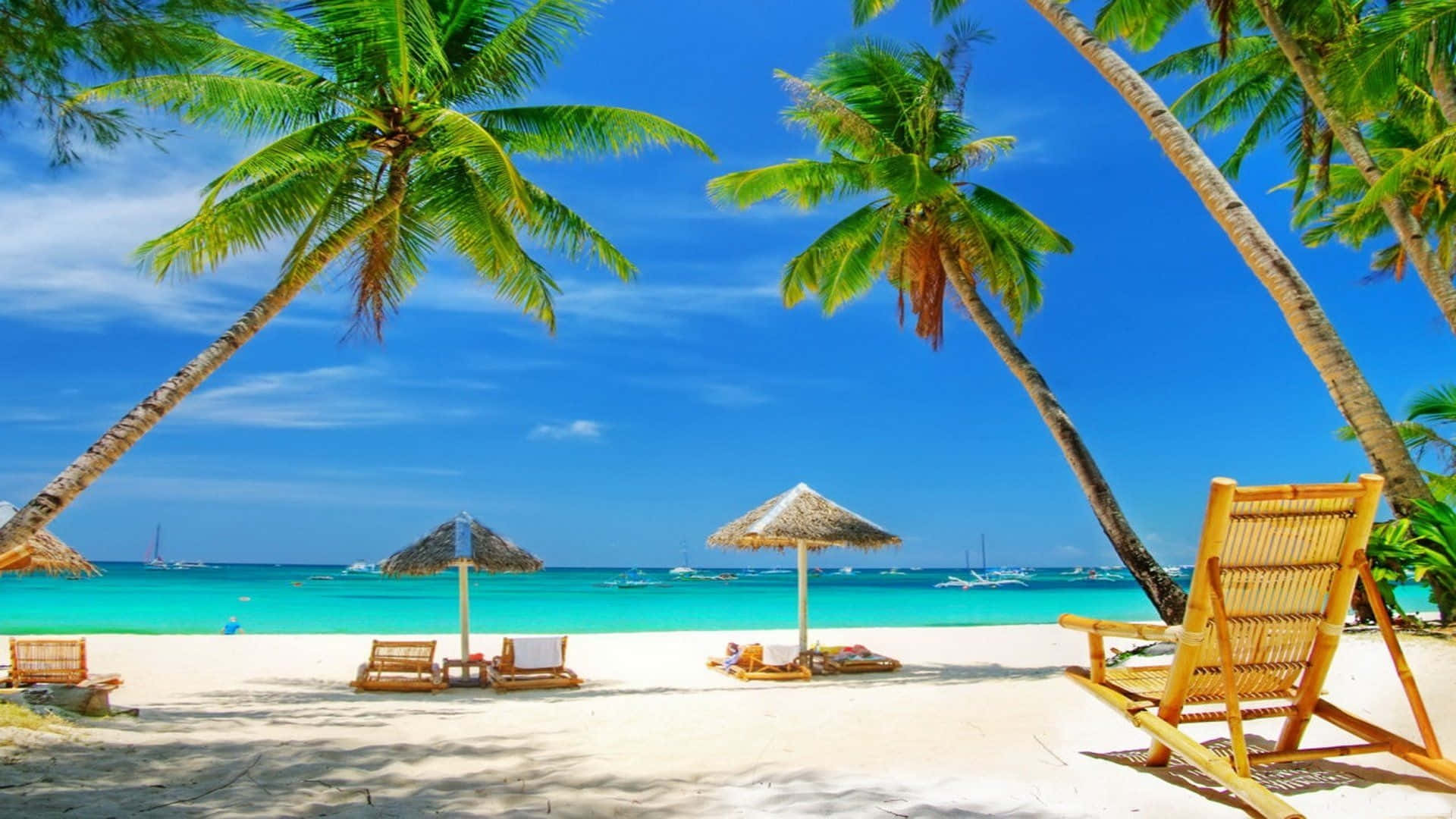 a beach with chairs and umbrellas under palm trees