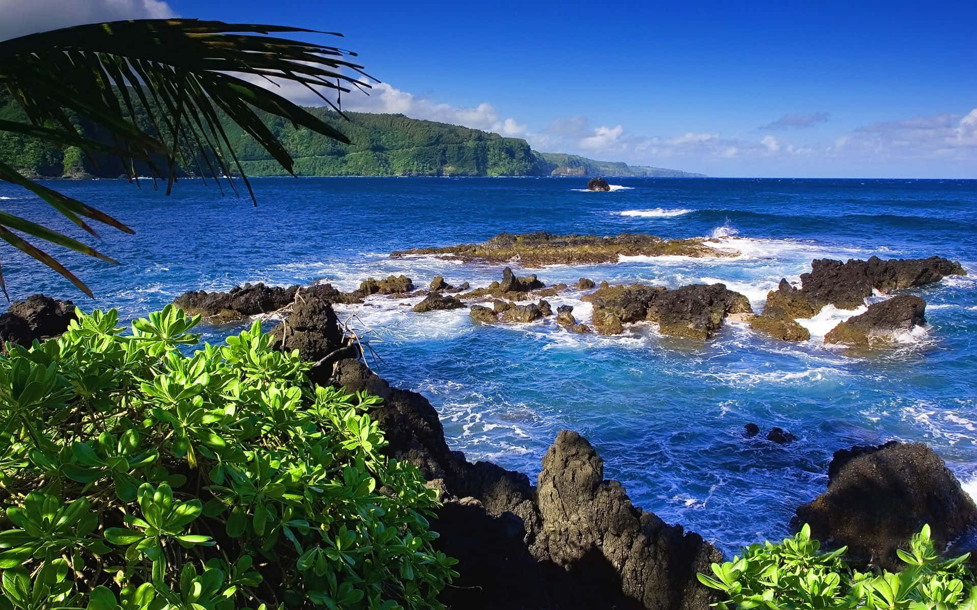A Rocky Shoreline With A Blue Ocean And Green Plants