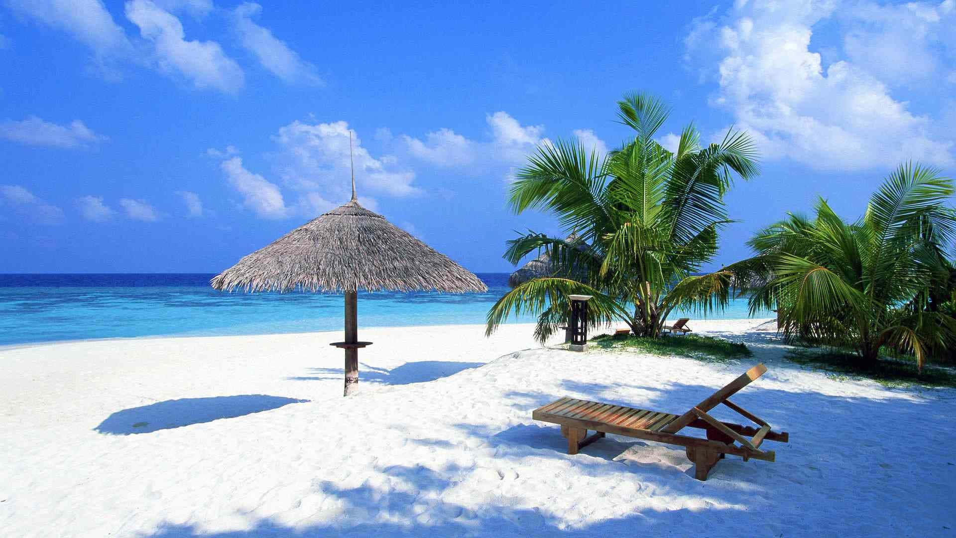 a white sandy beach with palm trees and a thatched umbrella