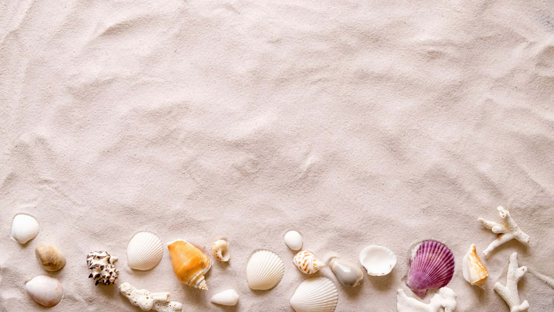 Beach Scene Sea Shells White Sand Wallpaper