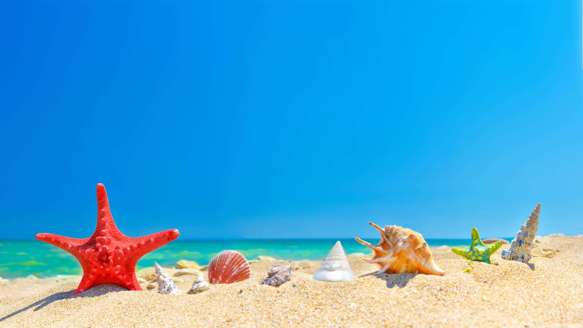 Download Beach Scene Star Fish Seashells Wallpaper 
