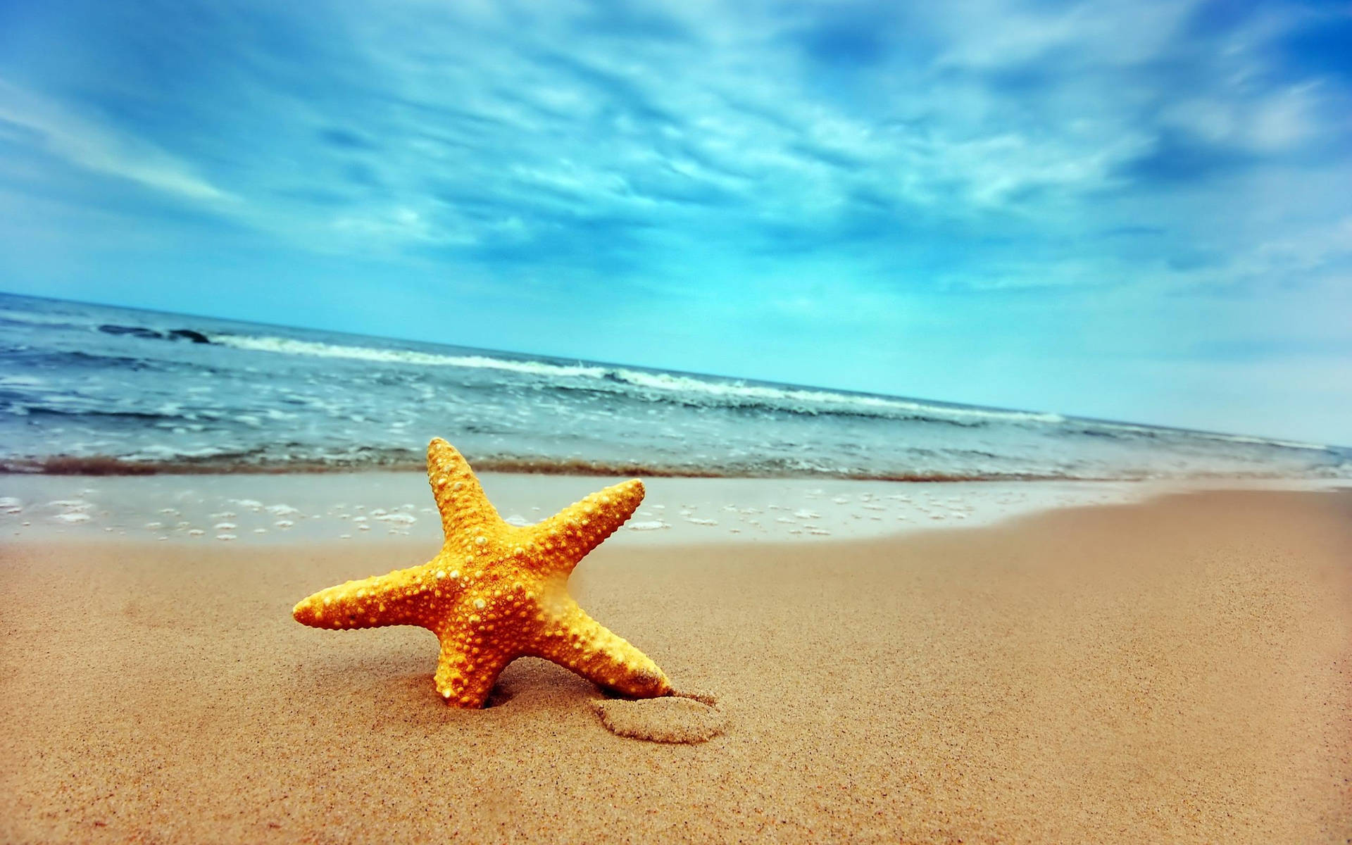 Escenasde Playa Con Estrellas De Mar Para Escritorio Fondo de pantalla