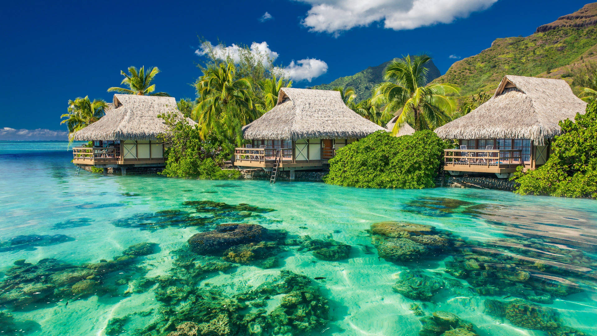 Scenedi Spiaggia Di Tahiti Per Il Desktop Sfondo