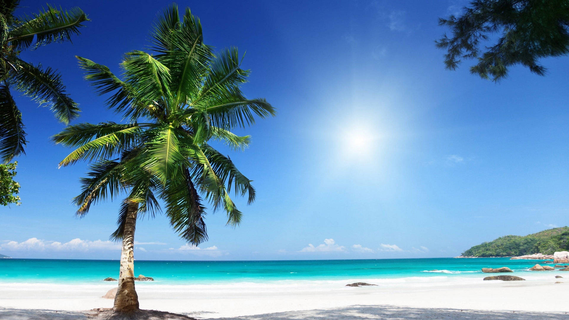 Disfrutade La Belleza De Un Paraíso Tropical En La Playa. Fondo de pantalla
