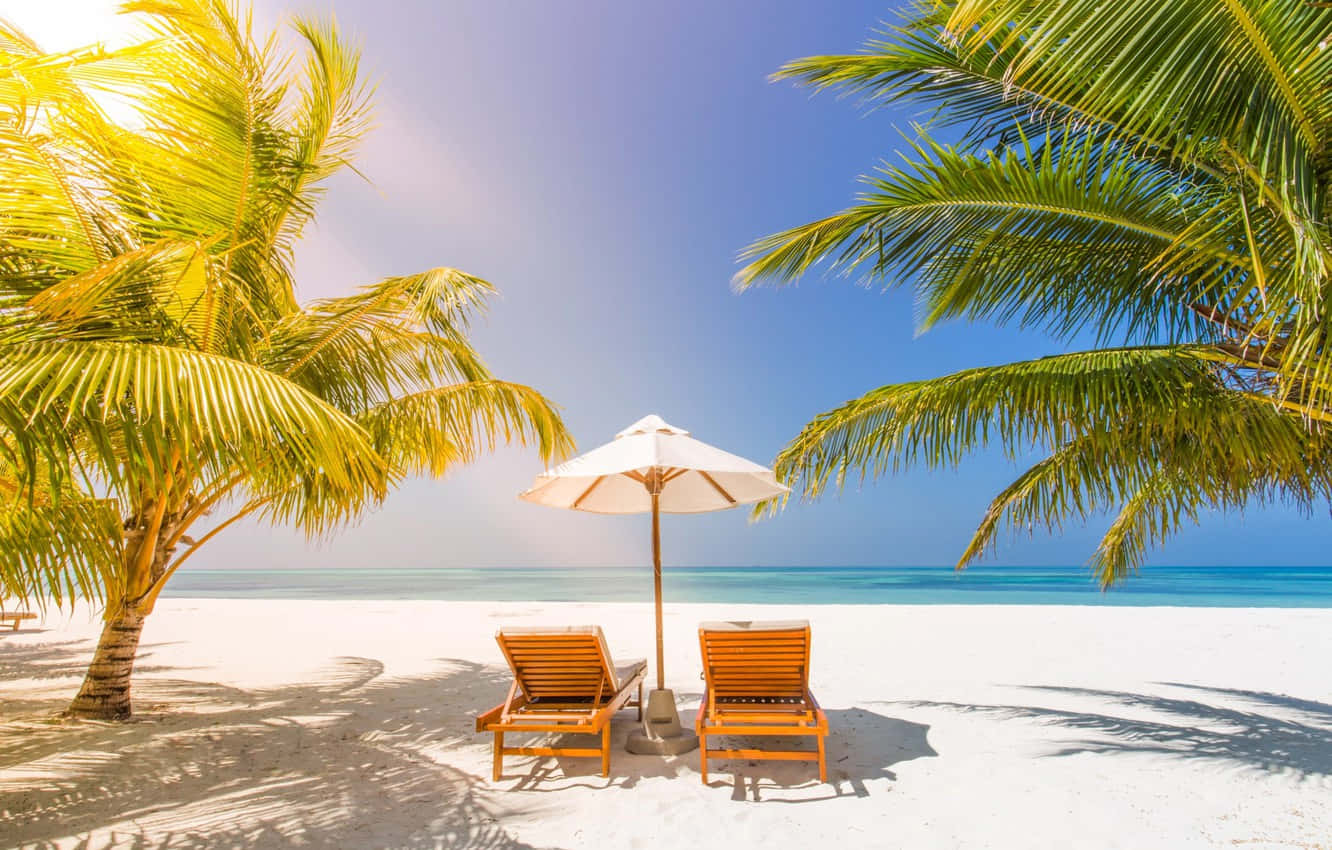 Relaxing Beach Sunbed Scene Wallpaper