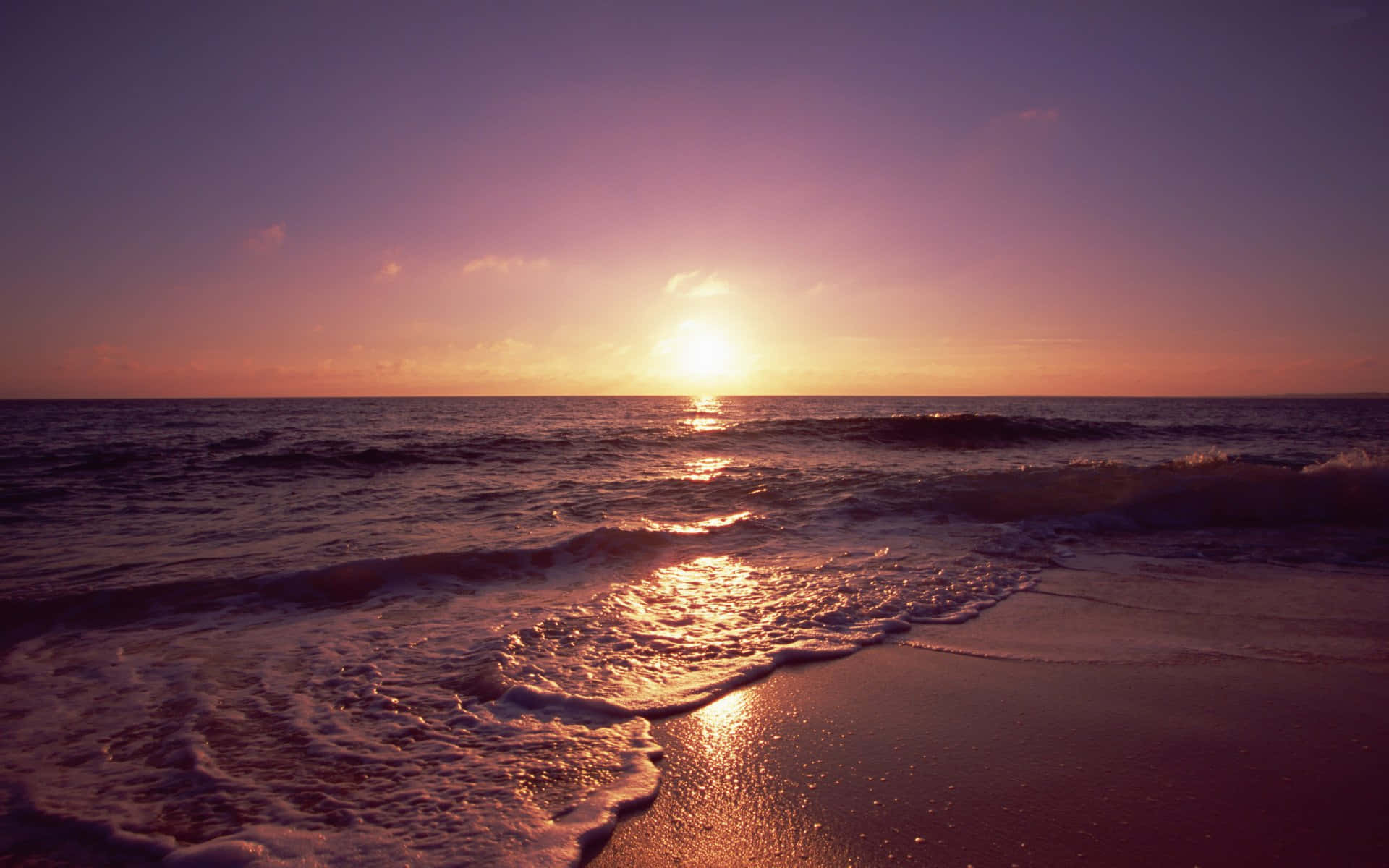 Aromatic Beach Sunset
