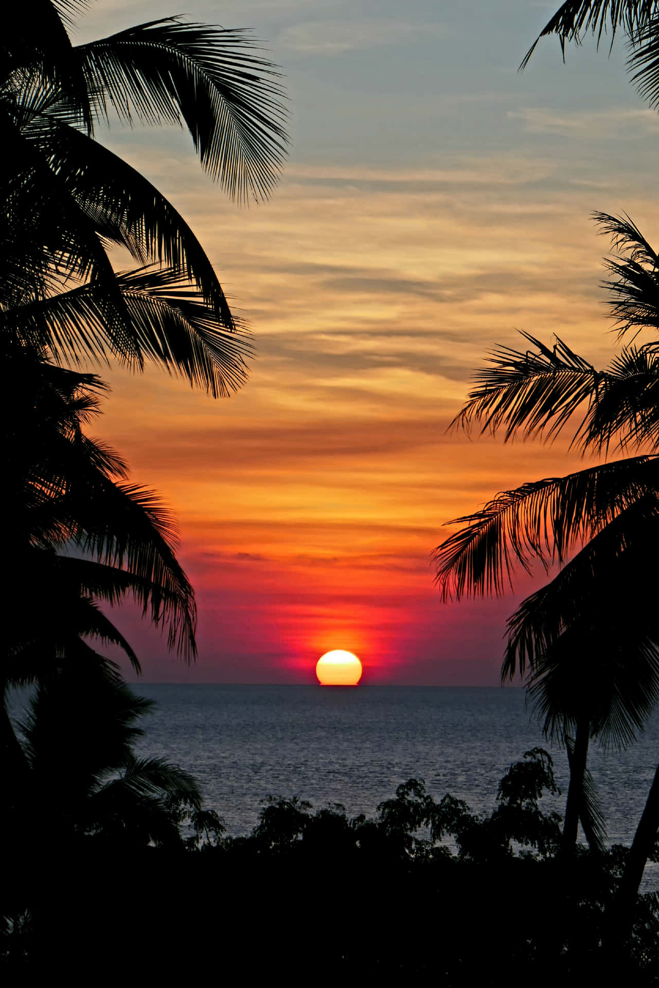 Enjoy the tranquil beauty of a beach sunset.