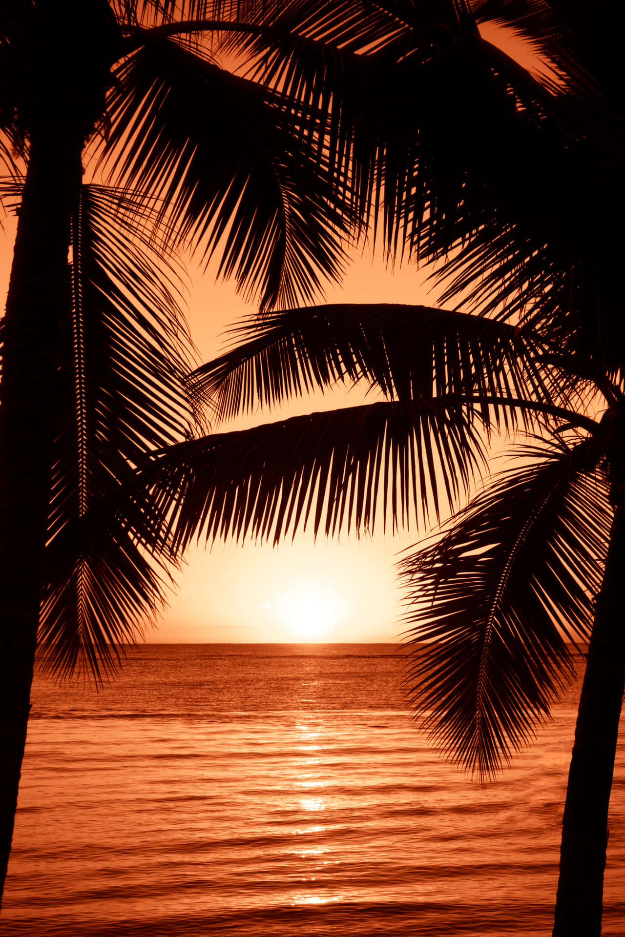 Etsmukt Solnedgangsbillede Ved Stranden.