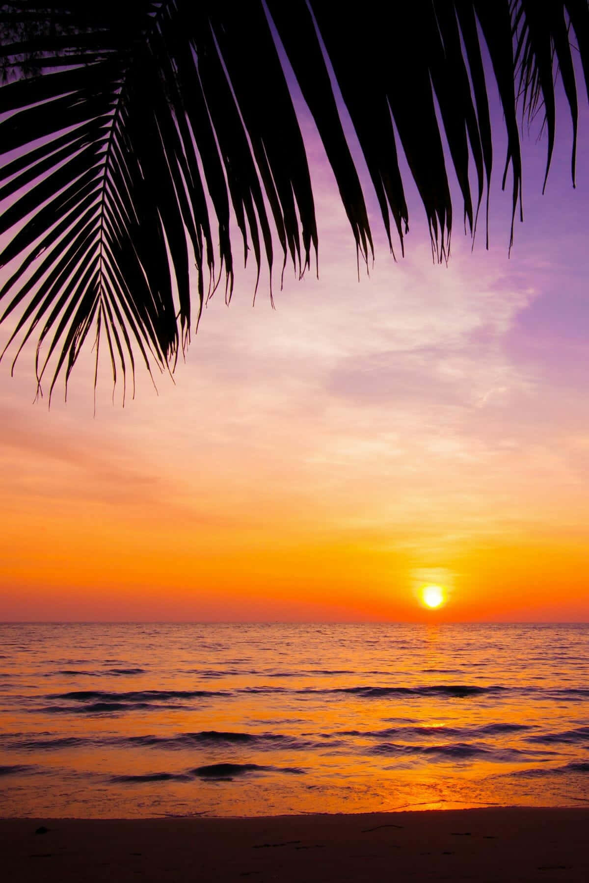 Soak Up the Last Rays of Light and Enjoy the Magic of a Beach Sunset