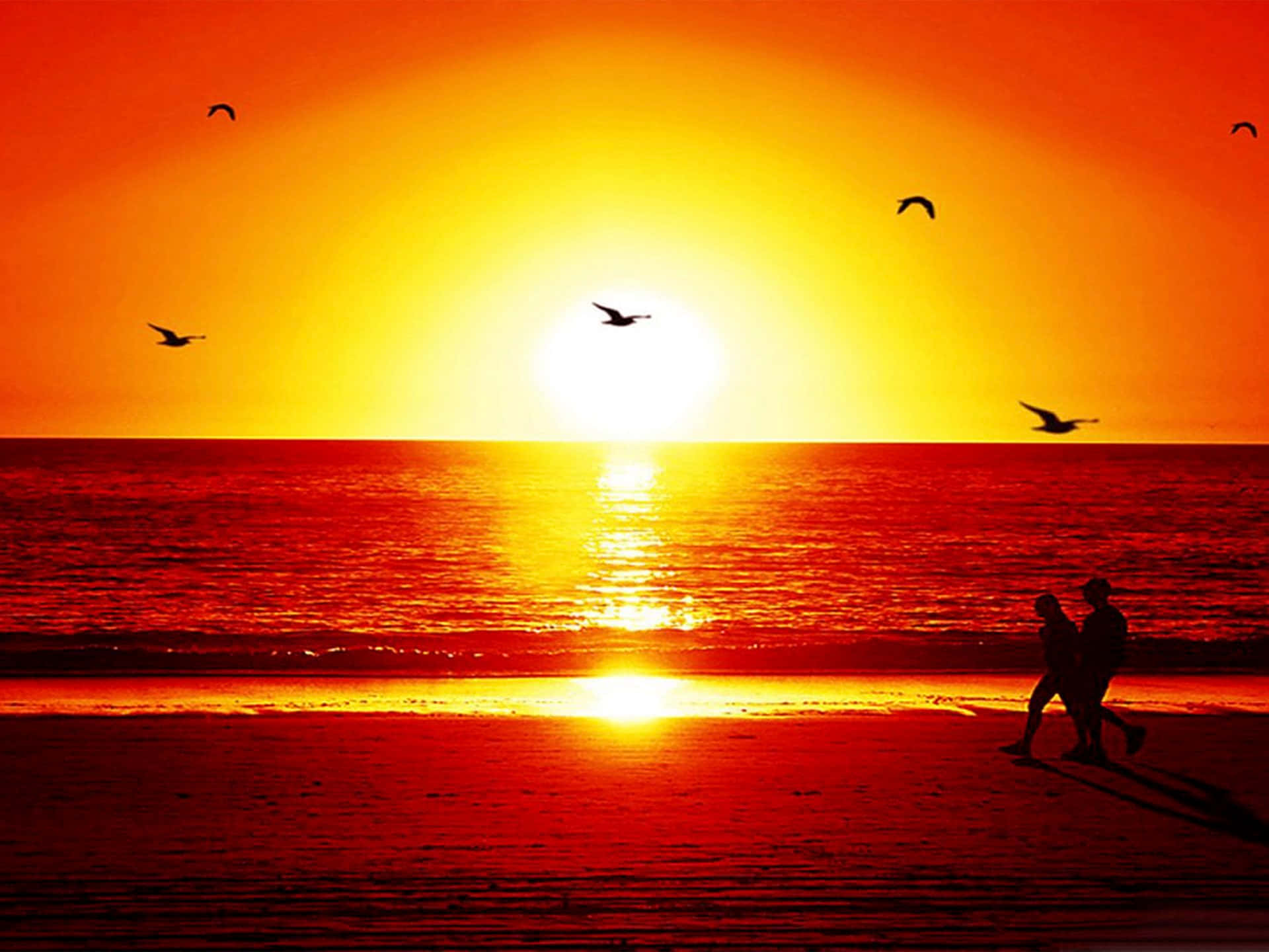 Findglæde Og Fred I At Se En Smuk Strand Solnedgang.