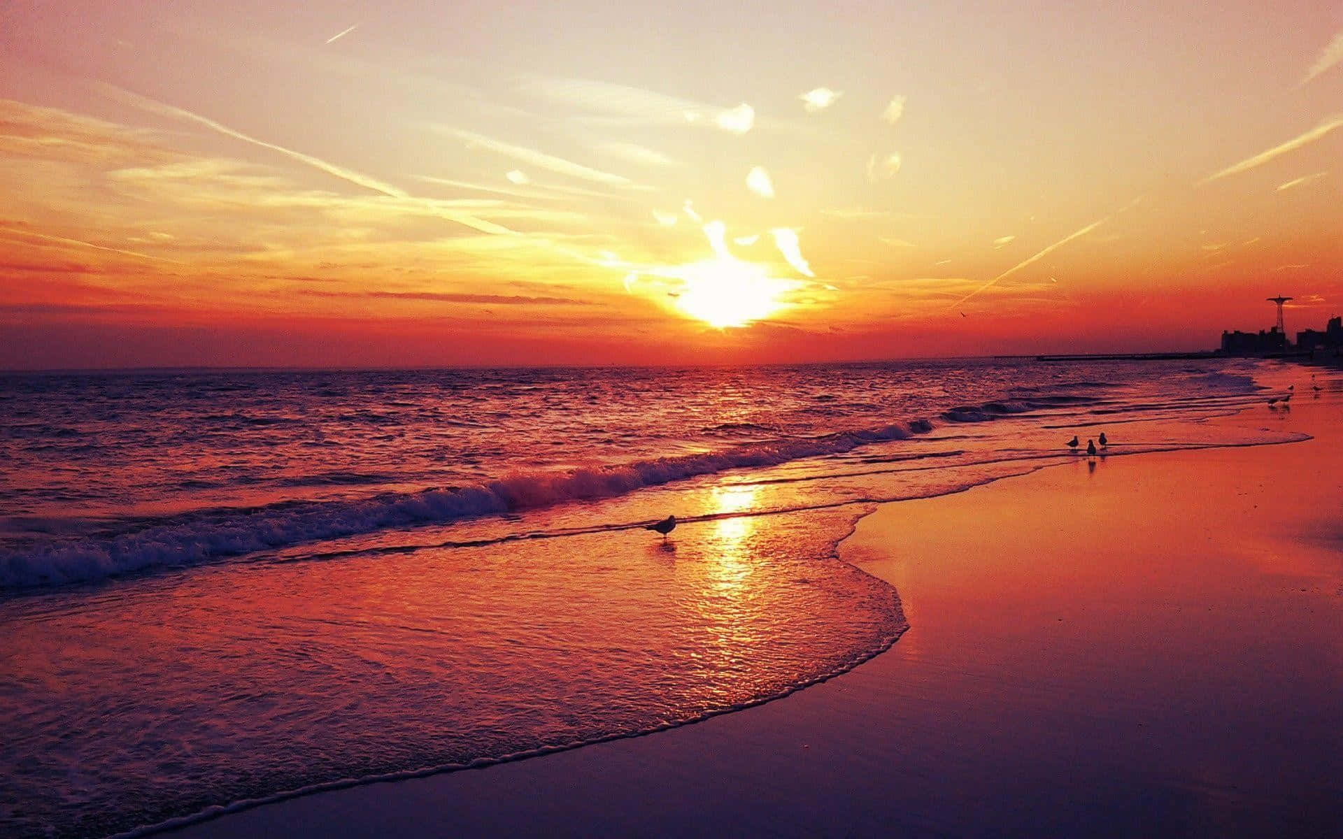 Nyden Smuk Solnedgang På Stranden.