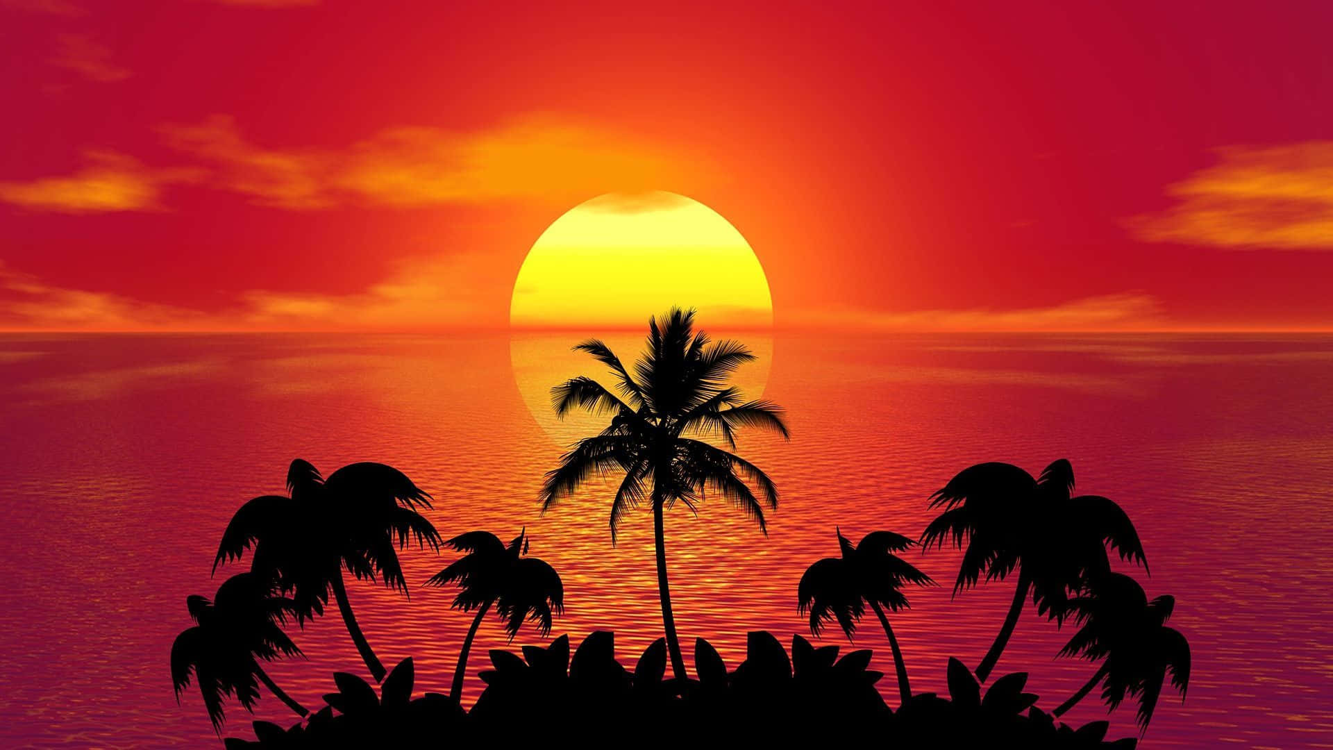 Enjoy the beautiful colors of the sunset from the beach.