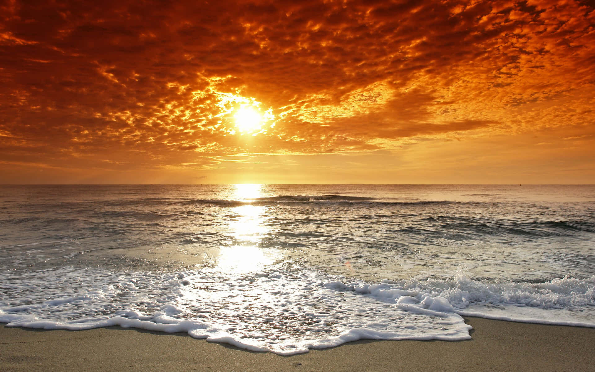 Enjoying the calming beauty of a sunset beach Wallpaper