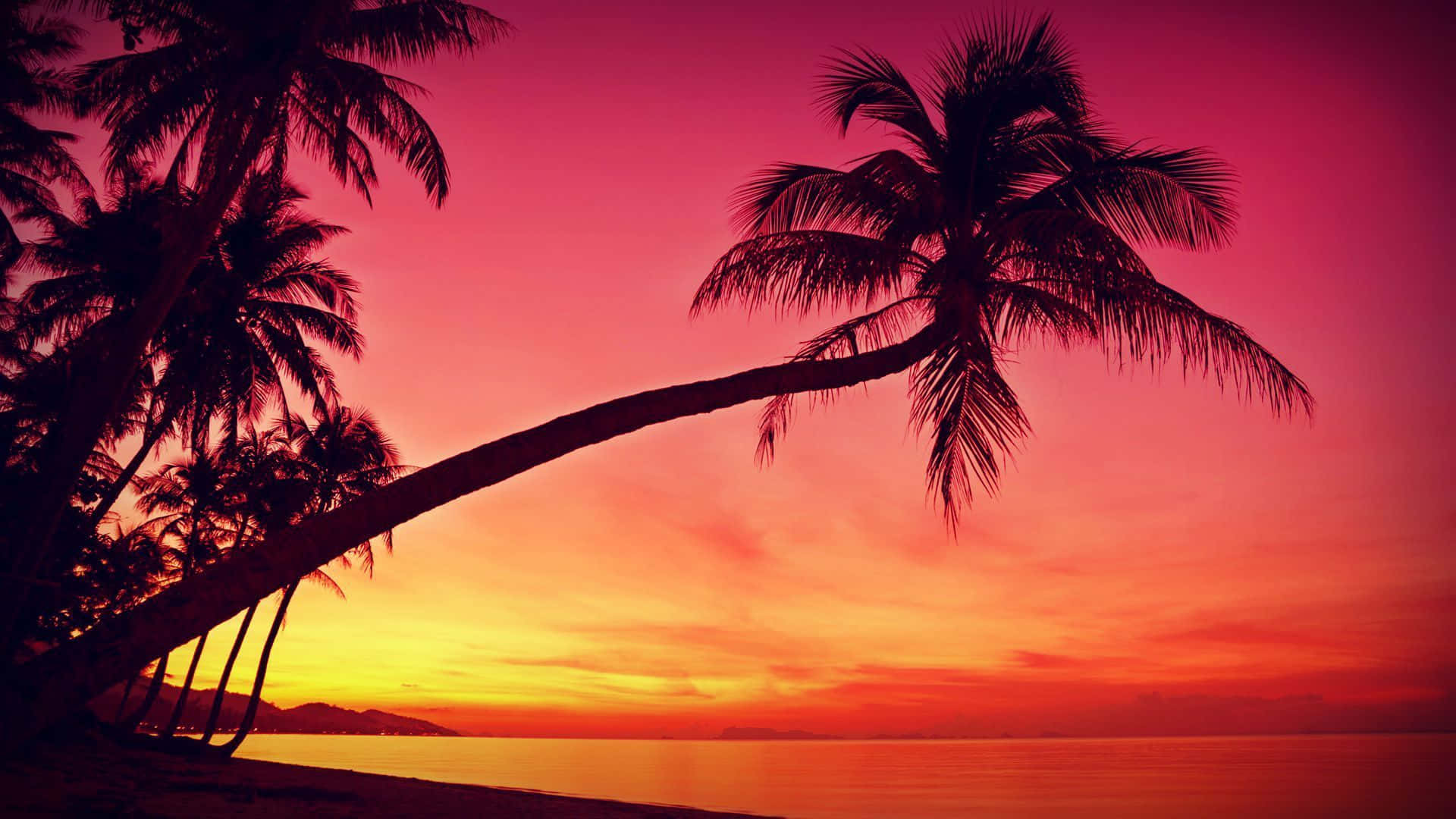 Paradis venter - spektakulær udsigt til solnedgang over en strand. Wallpaper