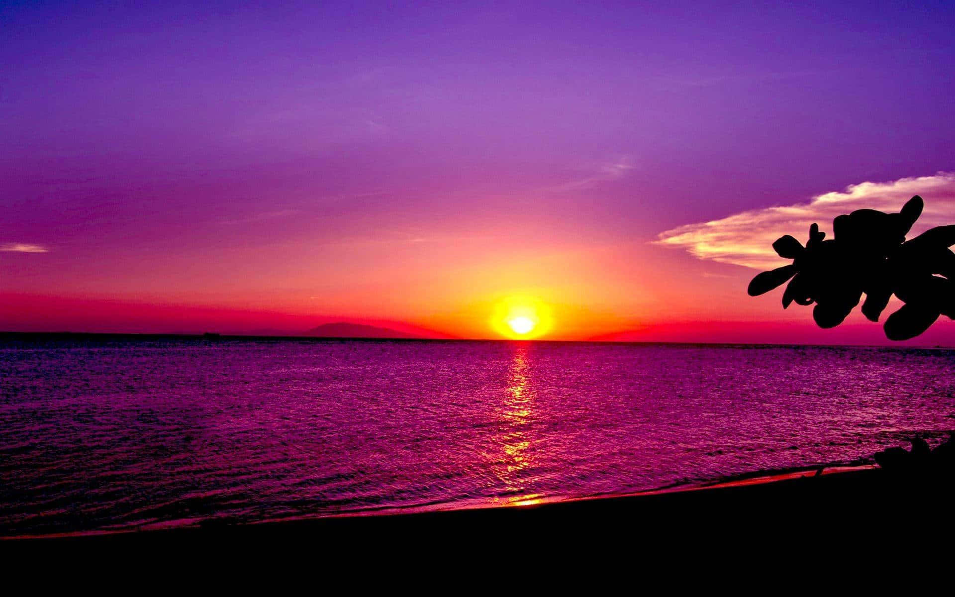 Beach Sunset Purple Sky Palm Hd Wallpaper
