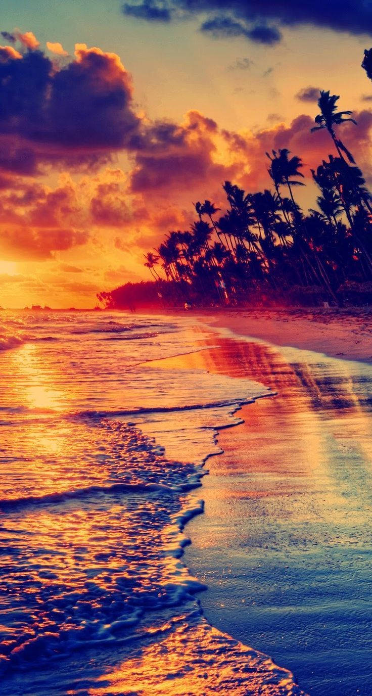 Beach Sunset On Awesome Phone Wallpaper