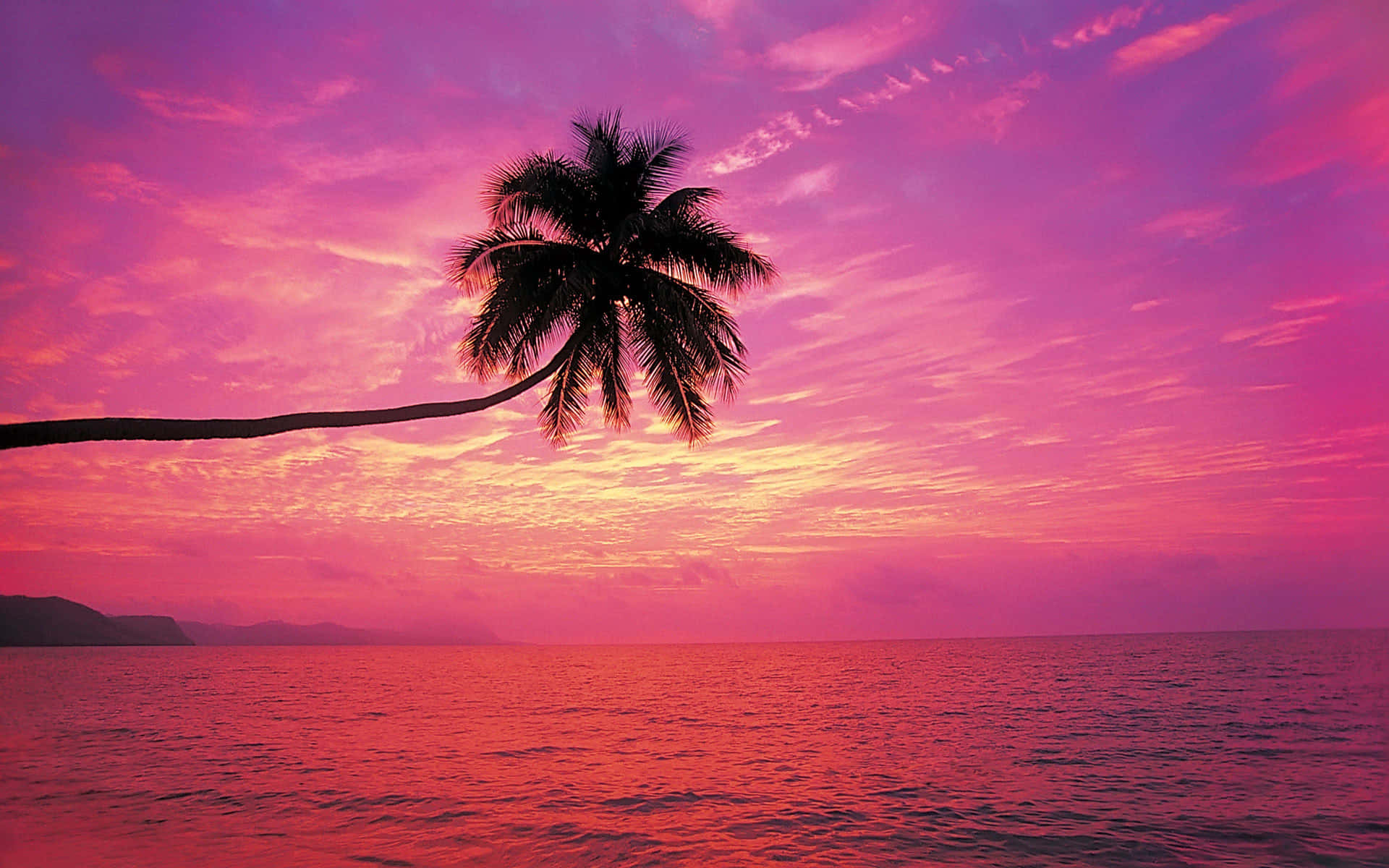 “A Beautiful Sunset on the Beach”
