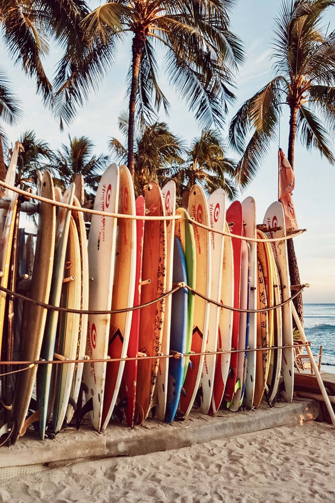 Beach Surfboards Pile Picture