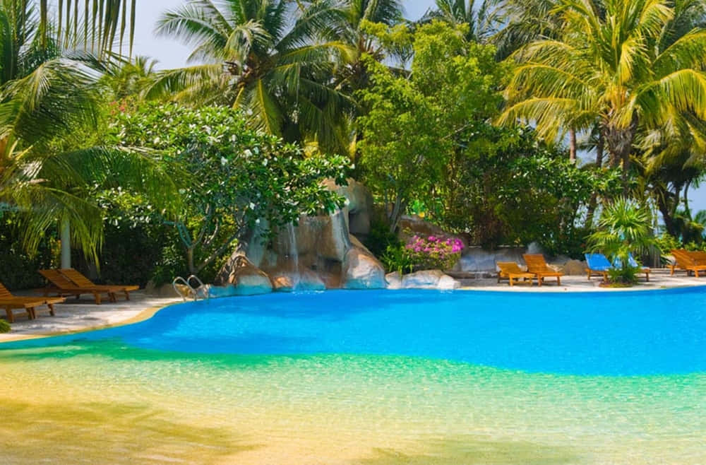 Tropical Beach Swimming Pool Paradise Wallpaper