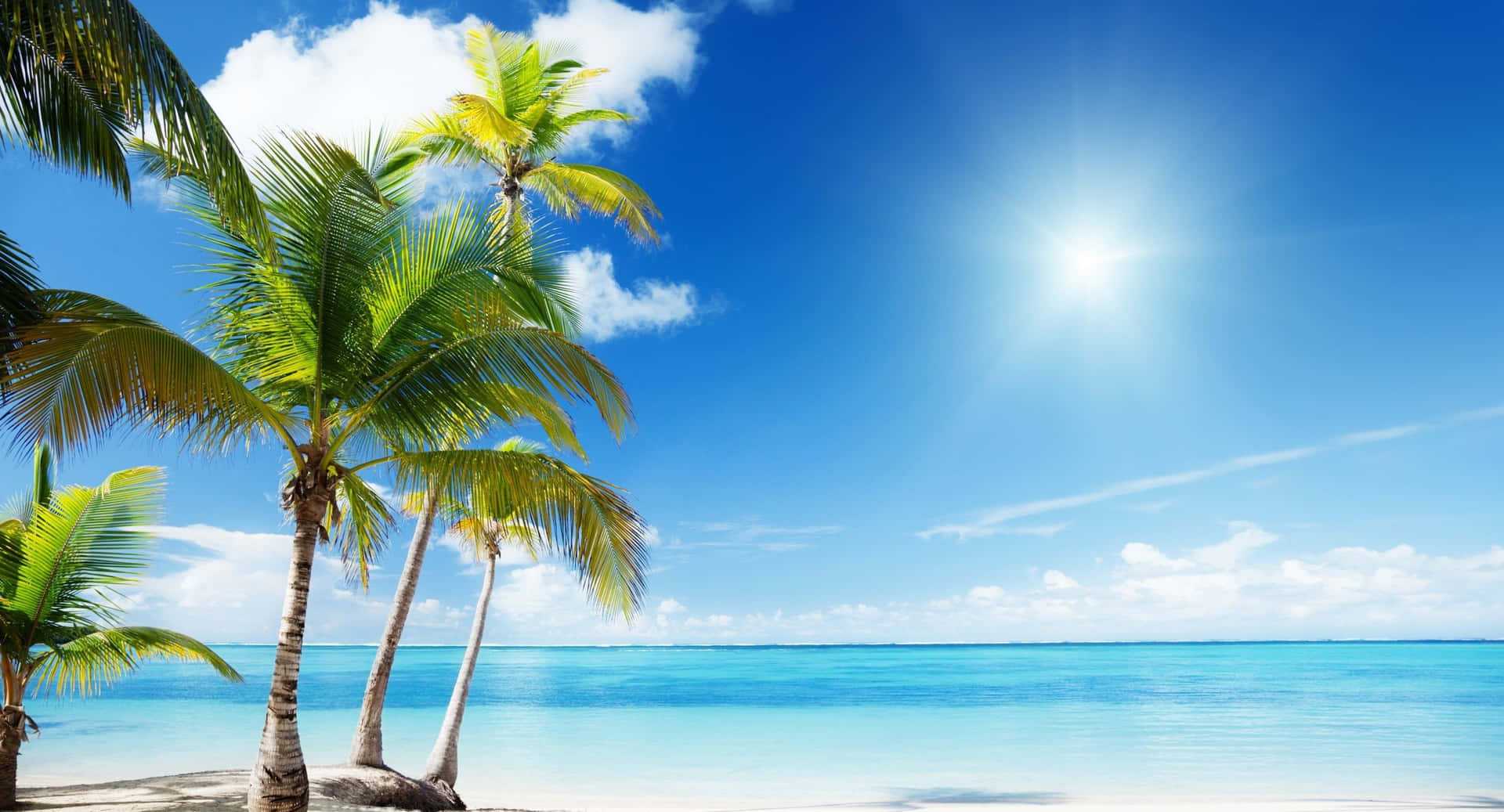 Trees Blue Water Beach Themed Background Wallpaper