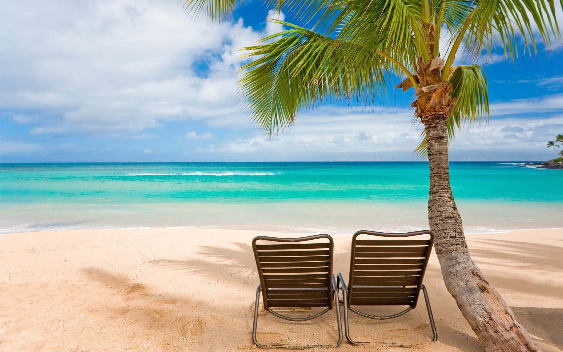 Two Chairs Under Tree Beach Themed Background