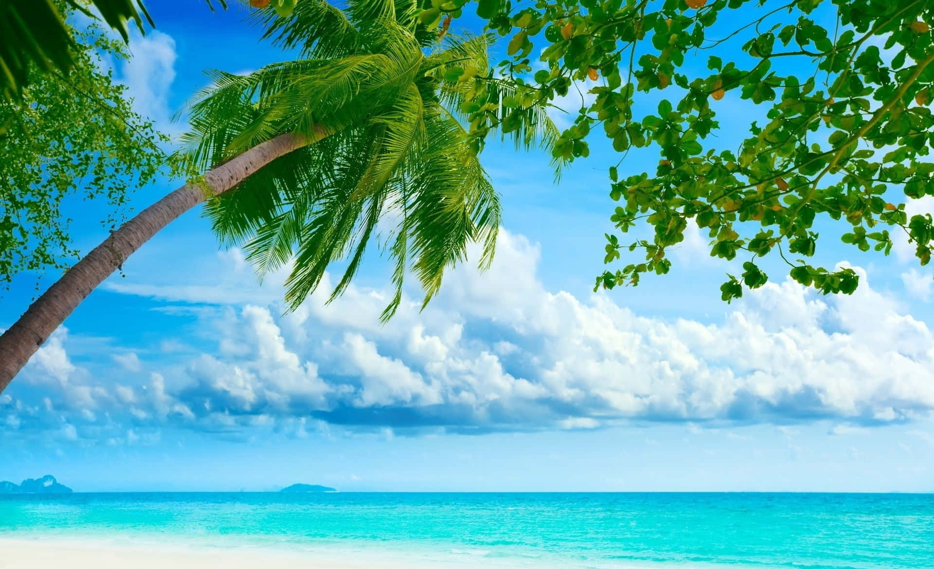 Green Leaves Beach Themed Background