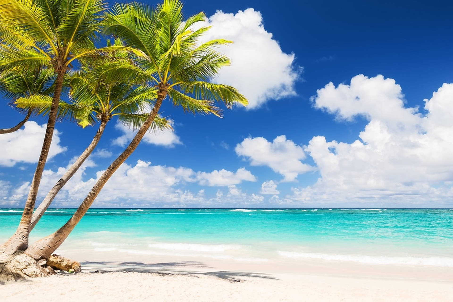 Azure Bliss: Sun, Sand, and Sea Vacation Wallpaper