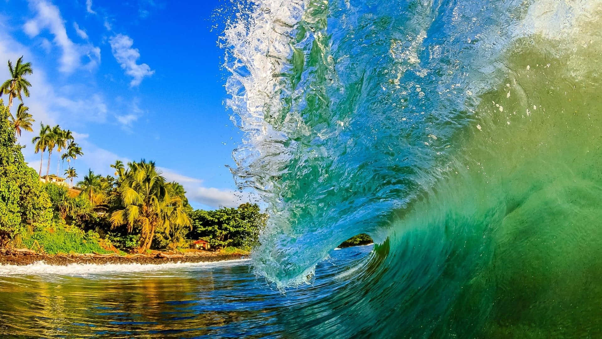 Mesmerizing Beach Waves on a Sunny Day Wallpaper