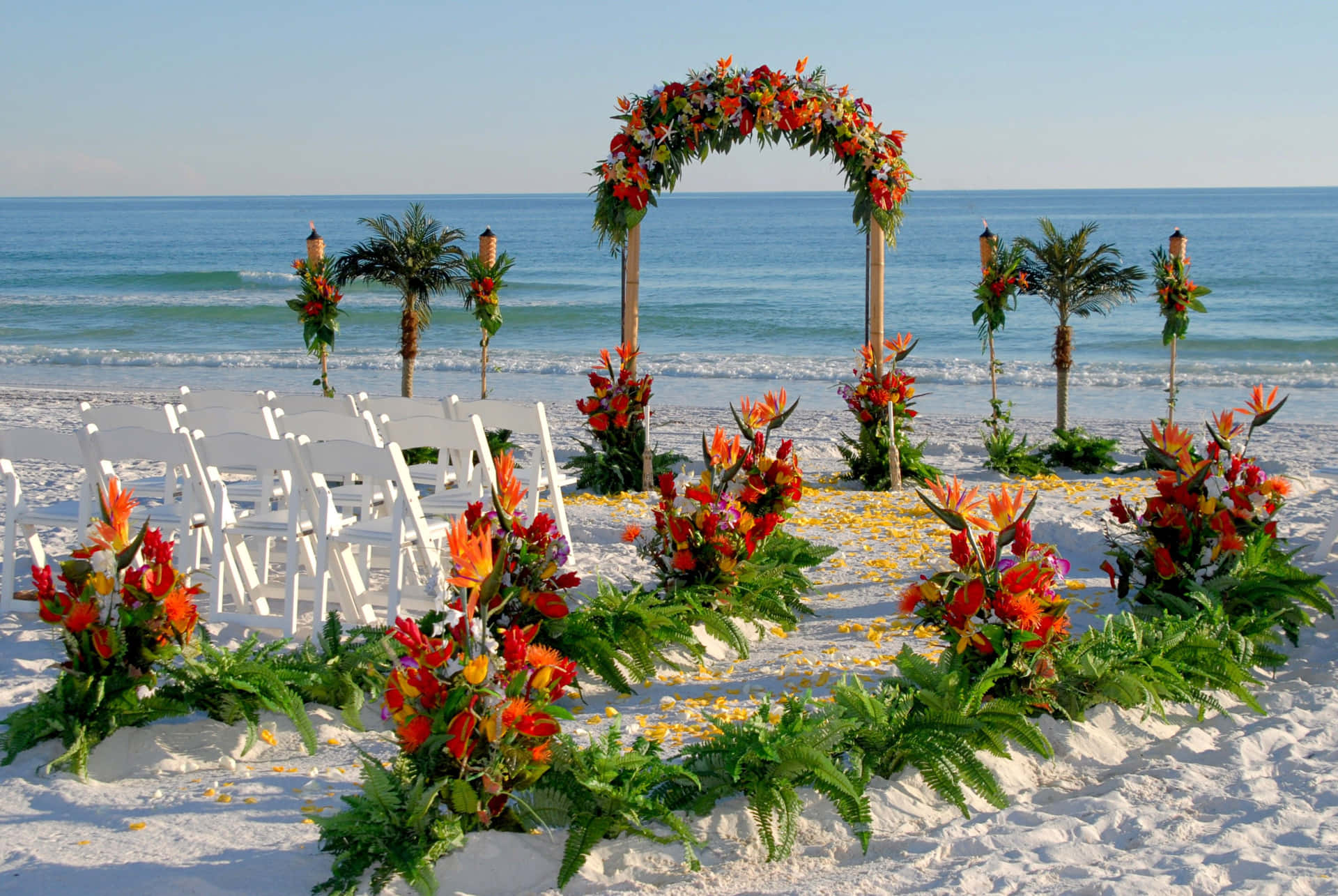 Fotodi Matrimonio Sulla Spiaggia In Rosso E Verde.
