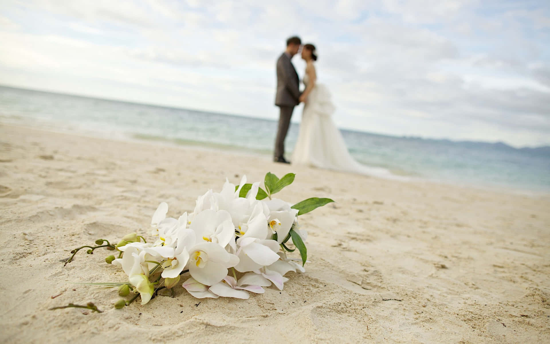 Strandbröllopvita Blommor Bild